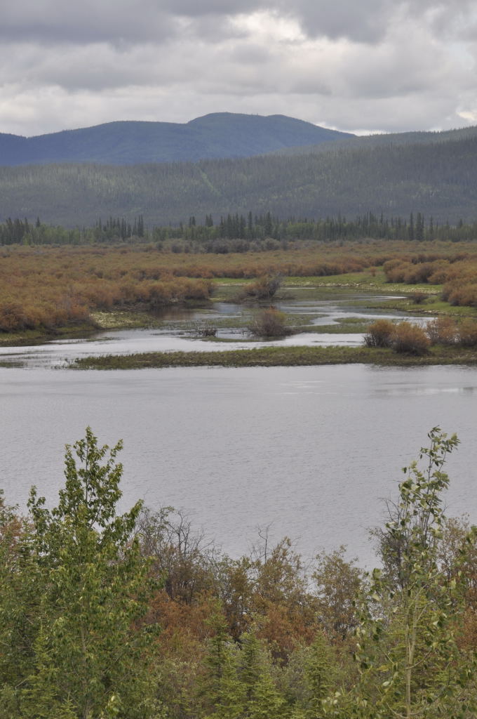 Pond kurz vor der Grenze