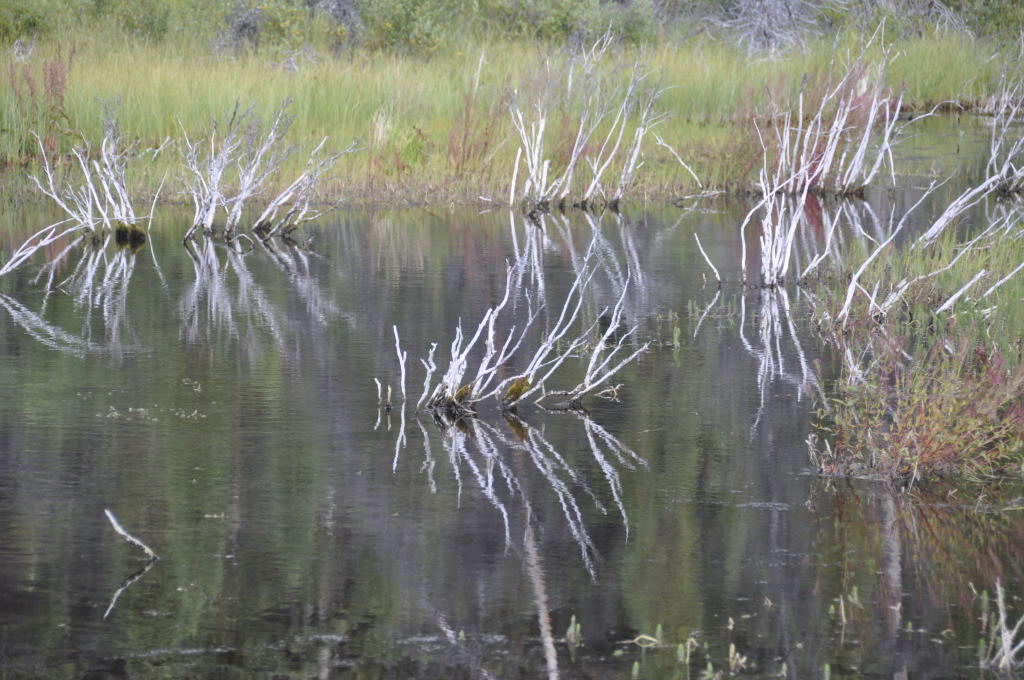 See beim Mountain Shadow RV Park