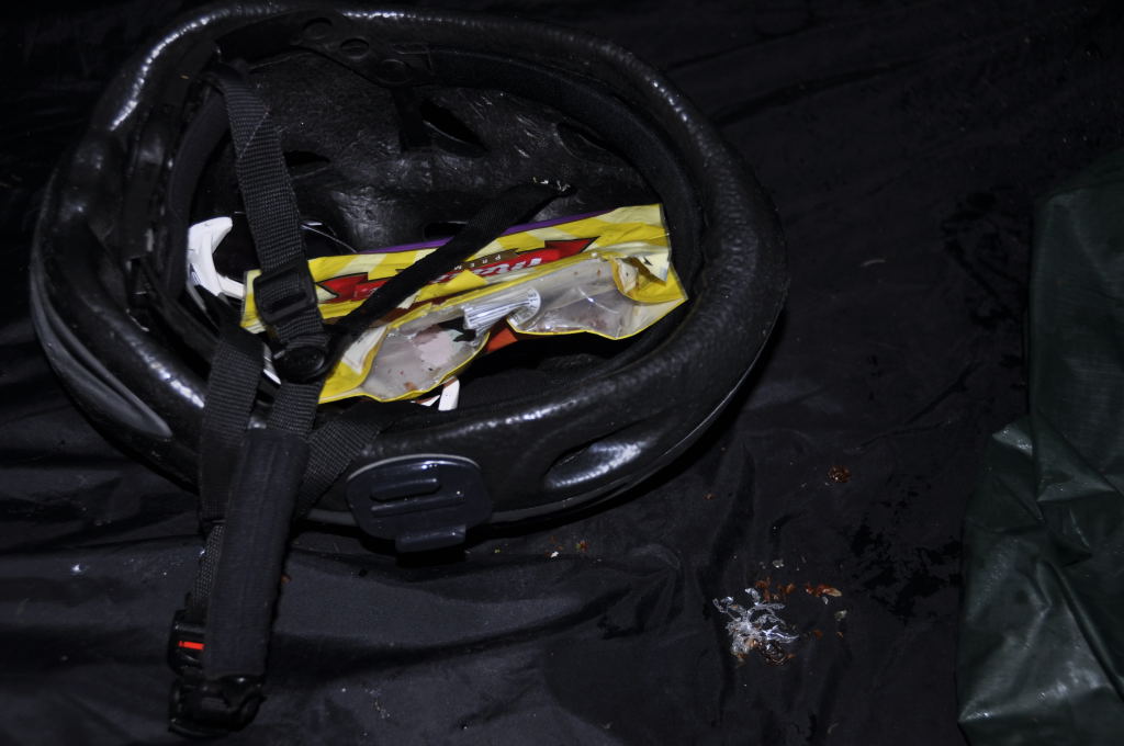 Eichhörnchen Attacke